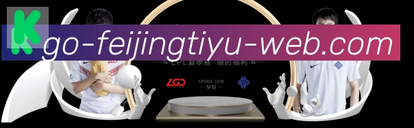 对战数据统计